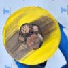 buoyant-tether-cable-composite-cross-section-tebaoflex-1.jpg Buoyant Tether Cable for ROVs and Subsea Systems | TEBAOFLEX